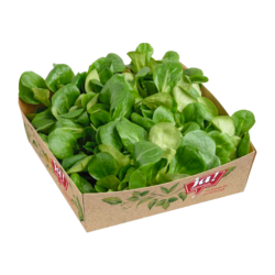 Bio-Vogerlsalat