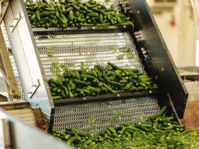 Jürgen Hagenauer Delikatess Gurken