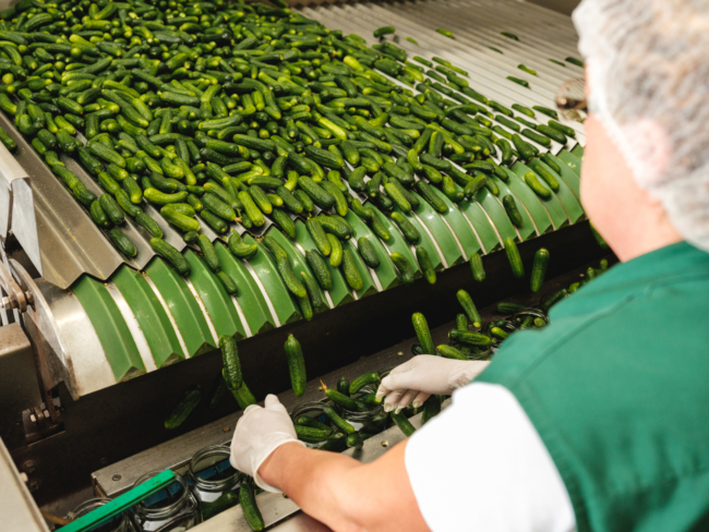 Jürgen Hagenauer Delikatess Gurken