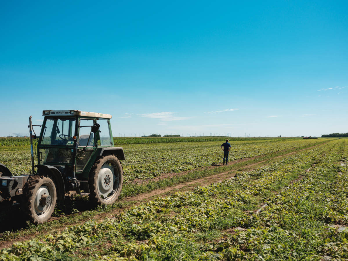 Jürgen Hagenauer Delikatess Gurken