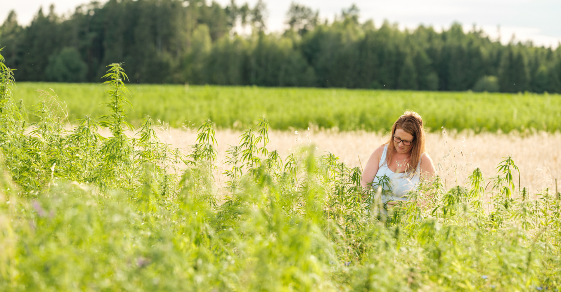 Sabine Strohmer Hanföl