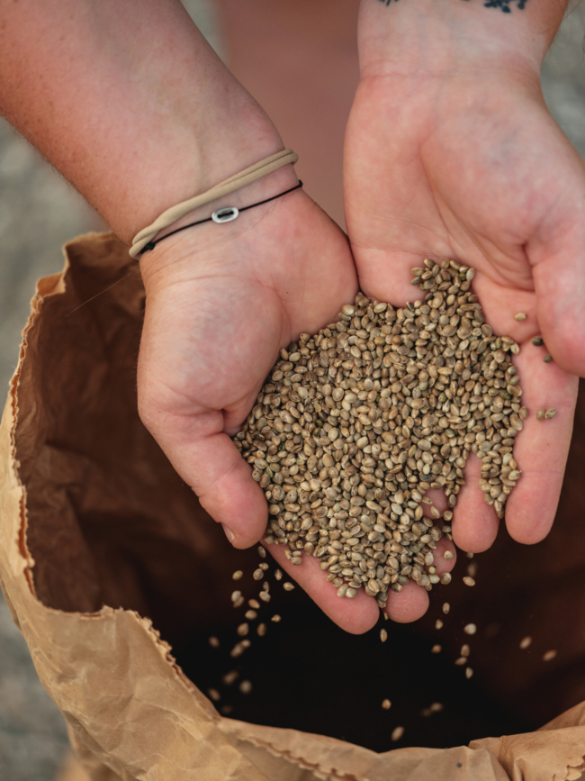 Sabine Strohmer Hanföl