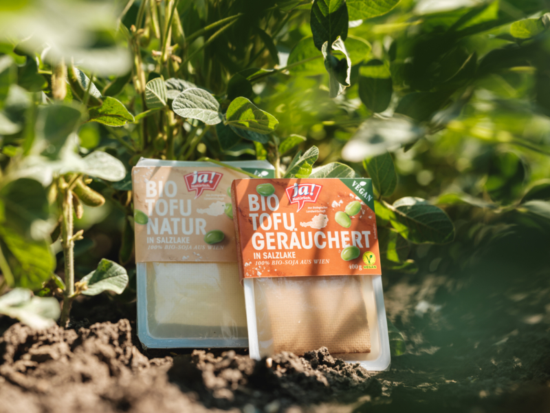 Kennst du schon unser neues pflanzliches Bio-Superfood?