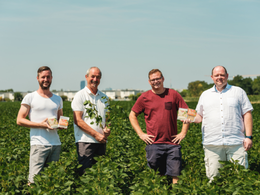 Soja Landwirte Tofu