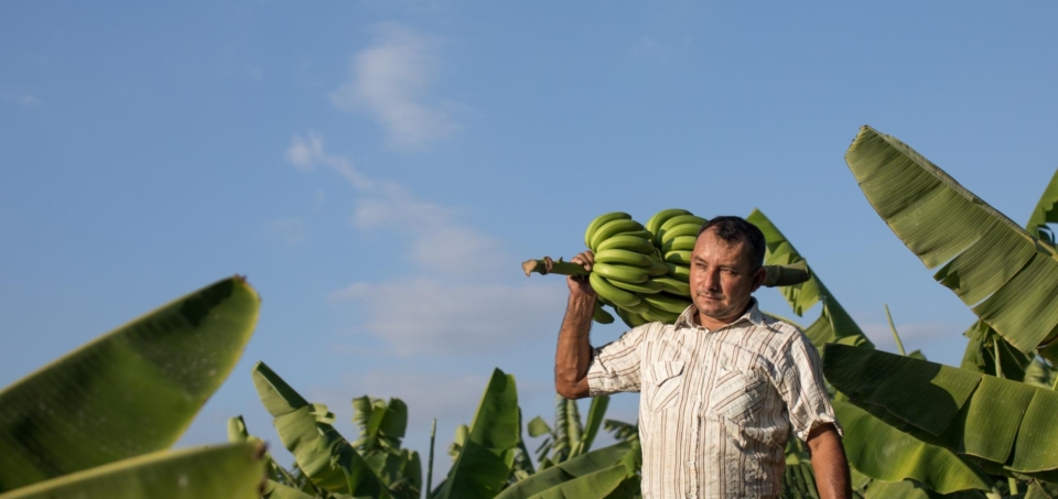 Was versteht man unter Fairtrade?