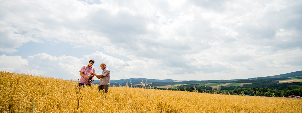 Zwei Personen auf einem Weizenfeld.