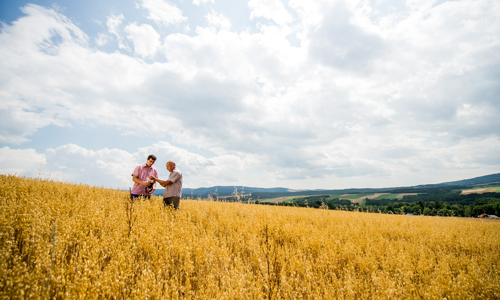 Zwei Personen auf einem Weizenfeld.