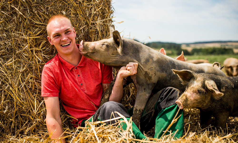 Josef Schiefer sitzt vor Strohballen und Bio-Freilandschwein schnuppert an seinem Hals