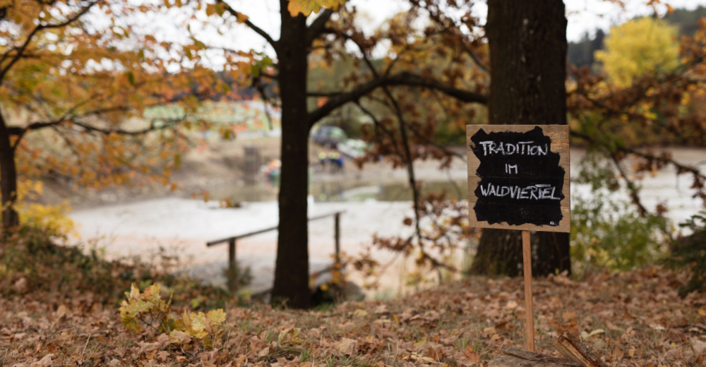 Bio-Fischteich im Waldviertel von Herbert Romann - Ja! Natürlich