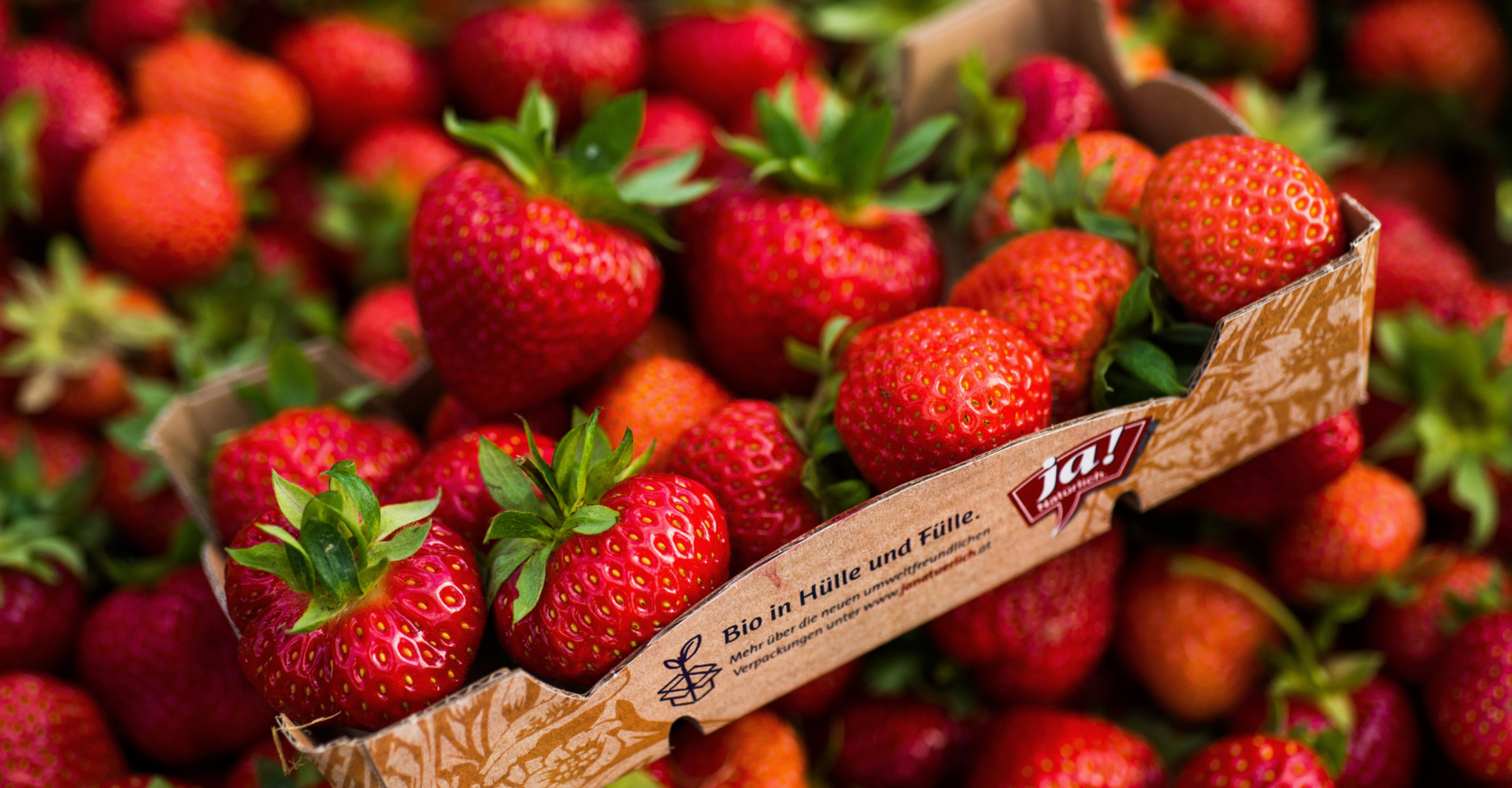 Ja! Natürlich Bio-Erdbeeren von Robert Strohmaier