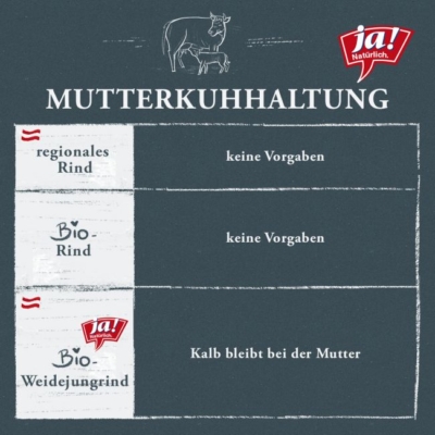 Infografik zu Mutterkuhhaltung