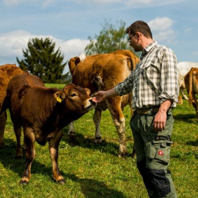 Stefan Eisenberger hält Hand zum Maul eines Bio-Weidejungrinds