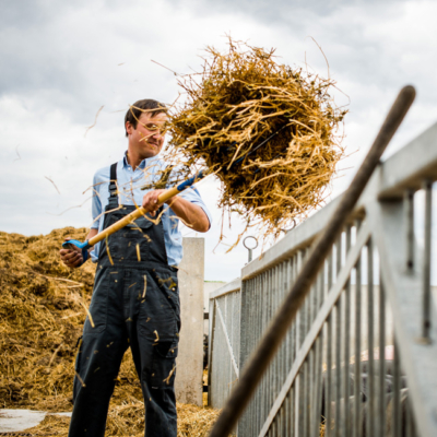 Wolfang Gössinge wirft Stroh mit Strohgabel über ein Tor