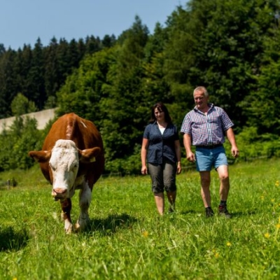 Familie Haas auf der Weide - Ja! Natürlich