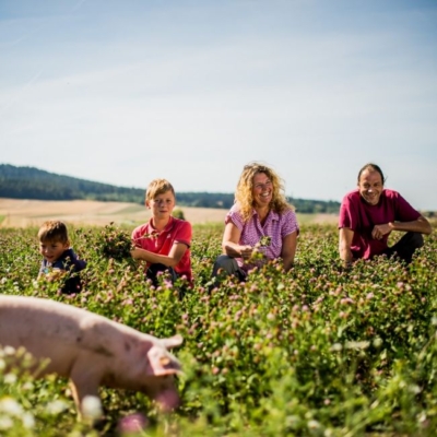 Freilauf für alle Bio-Freilandschweine - Ja! Natürlich