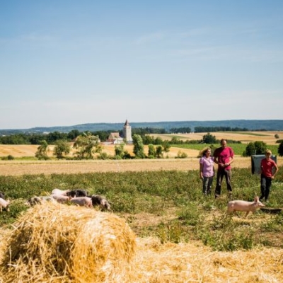Wiese von Bio-Freilandschweinen - Ja! Natürlich