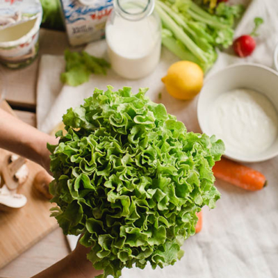 Frischer Kopfsalat in zwei Händen.