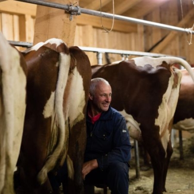 Bio-Bauer Martin Rieder beim Kühe melken - Ja! Natürlich
