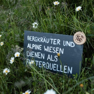 Schild in Wiese: Bergkräuter und alpine Wiesen als Futterquelle - Ja! Natürlich