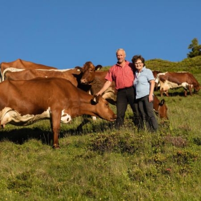Familie Rieder auf Weide mit Kühen