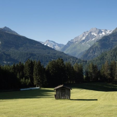 Weide mit Hütte im Nationalpark Hohe Tauern, Bio-Milch Bauern Rieder - Ja! Natürlich