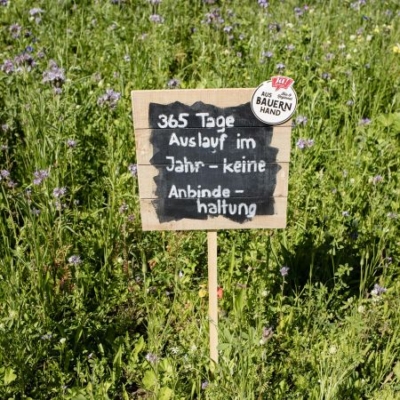 Schild in der Wiese: 365 Tage Auslauf im Jahr - Ja! Natürlich
