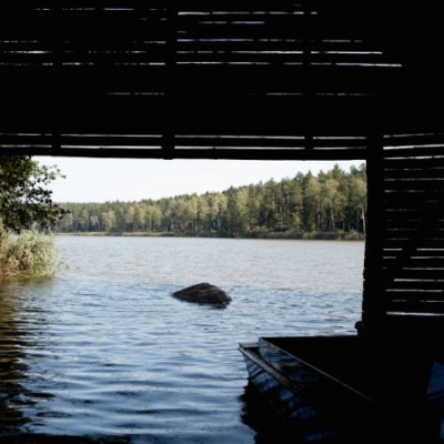 Sicht auf Fischteich vom Bio-Karpfen im Waldviertel - Ja! Natürlich