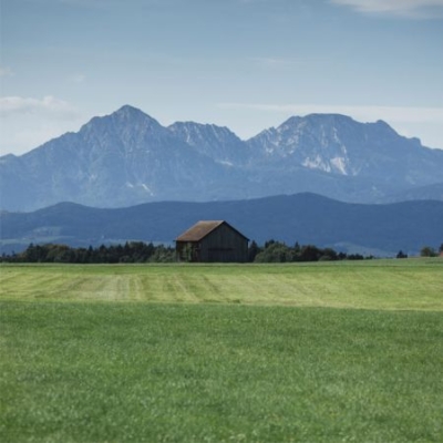 Felder von Matthias Sommerauer in Eugendorf, Salzburg - Ja! Natürlich