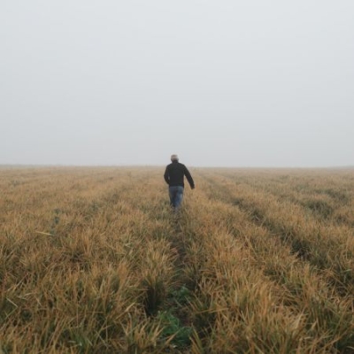 Erwin Unger auf seinem Bio-Reisfeld in Wallern - Ja! Natürlich