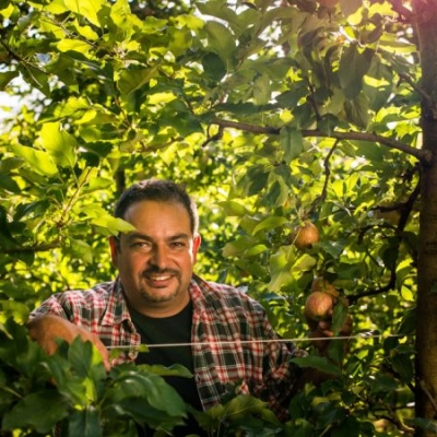 Rudolf Wammes in den Blättern des Bio-Apfelbaums - Ja! Natürlich