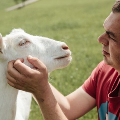 Klaus Wiesinger mit Ziege - Ja! Natürlich