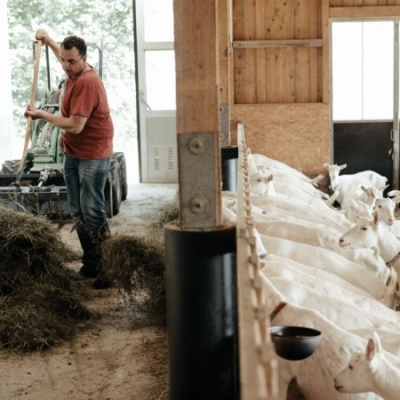 Klaus Wiesinger bei der Stallarbeit - Ja! Natürlich