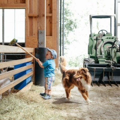 Kind von Familie Wiesinger hilft im Stall - Ja! Natürlich
