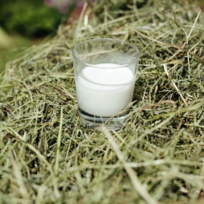 Glas mit Bio-Ziegenheumilch steht im Heu - Ja! Natürlich