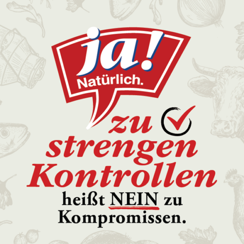 Der Text