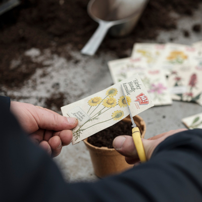 Bio-Bauer Rumplmayr, Saatgut von Ja! Natürlich wird aufgeschnitten