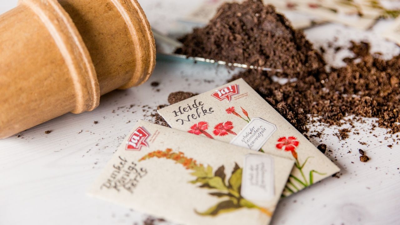 Ja! Natürlich Bio Wildblumen Saatgut