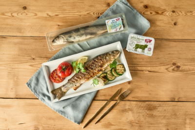 gegrillter Bachsaibling