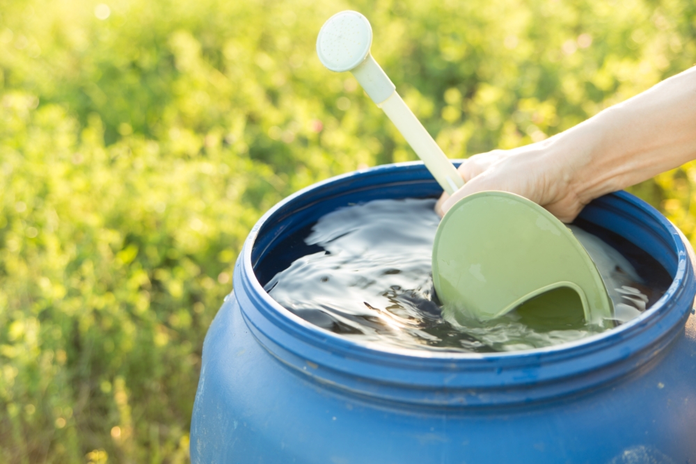 Jemand befüllt eine Gießkanne.