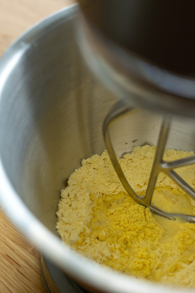 Tortillas mit Maismehl Lisa Shelton