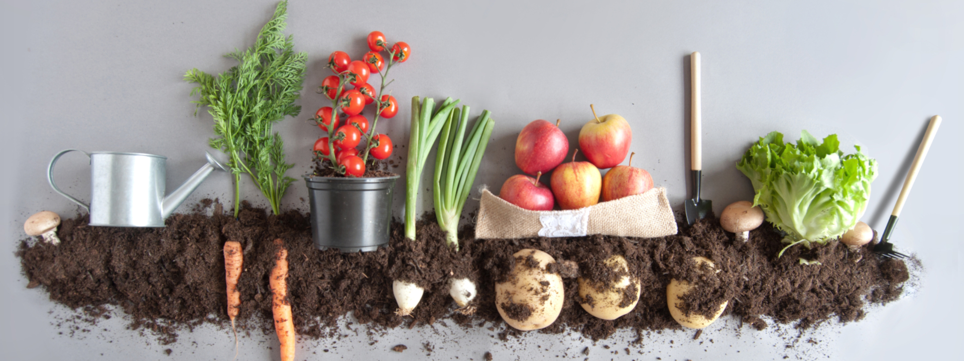 Gemüse und Obst auf Erde.