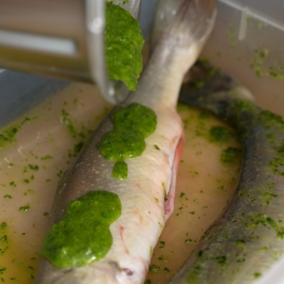 Bio-Bachsaibling, eingelegt in eine Petersilie-Knoblauch-Öl-Marinade.