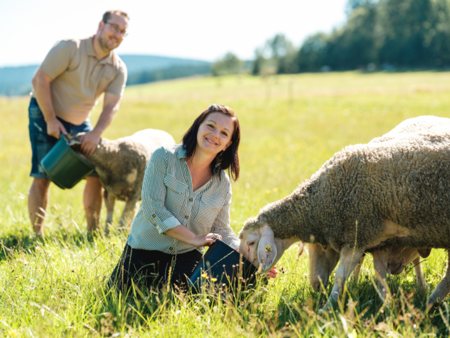 Familie Kudler züchtet Bio-Lamm