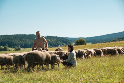 Familie Kudler züchtet Bio-Lamm