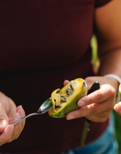 Angelika Köck löffelt Bio-Papau von Ja! Natürlich