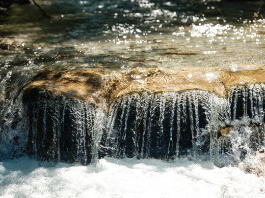 Glasklares Wasser dienst Bio-Bachsaiblingen als Lebensraum - Ja! Natürlich