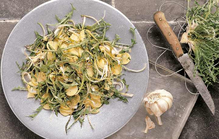 Bunter Waldviertler Erdäpfelsalat