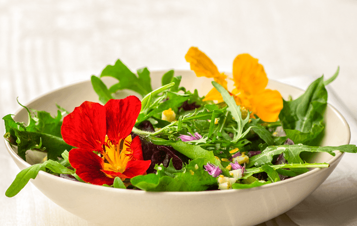 Frühlingssalat mit Löwenzahn und Eiervinaigrette