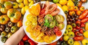 Geschnittene Bio-Paradeiser-Raritäten.