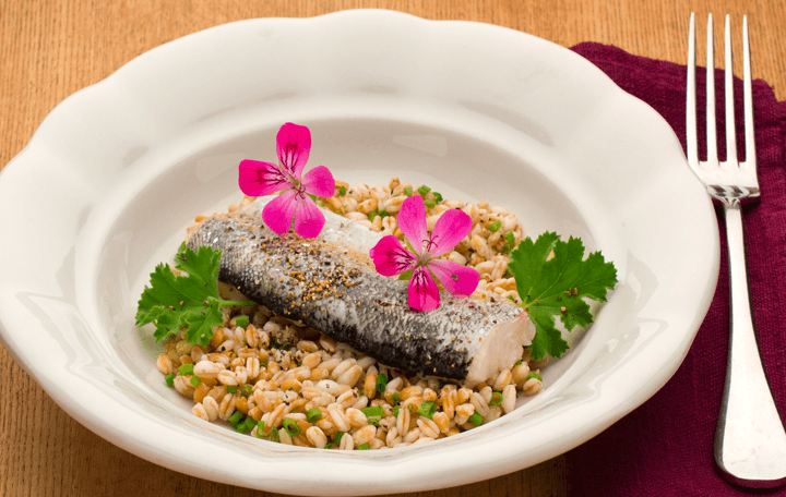 Saiblingsfilet mit Duftpelargonie gedämpft auf Waldviertler Dinkelreis